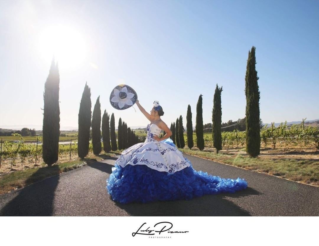 Gallery Image #slidesGrid28