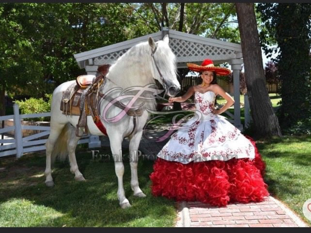 Model wearing a white-red gown