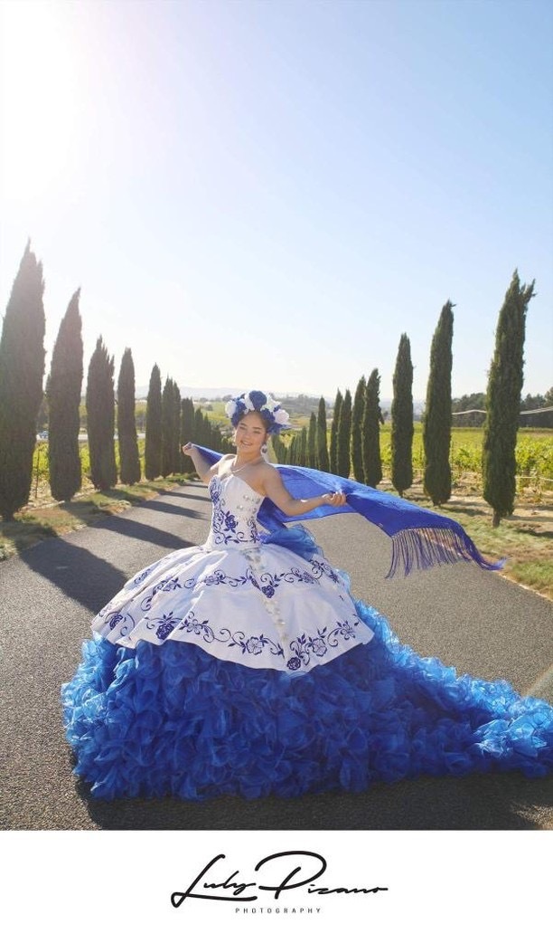 Gallery Image #slidesGrid1