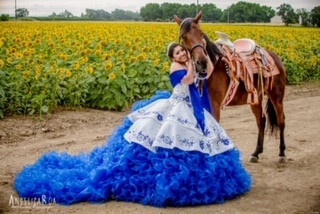 Gallery Image #slidesGrid13