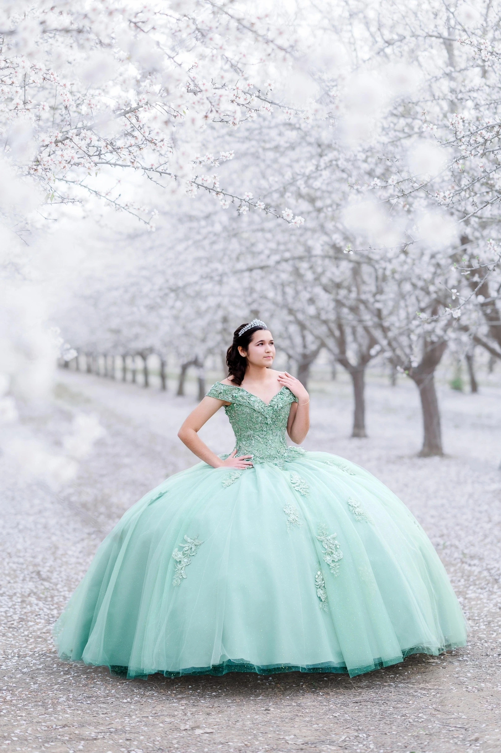 Girl wearing a quince dress