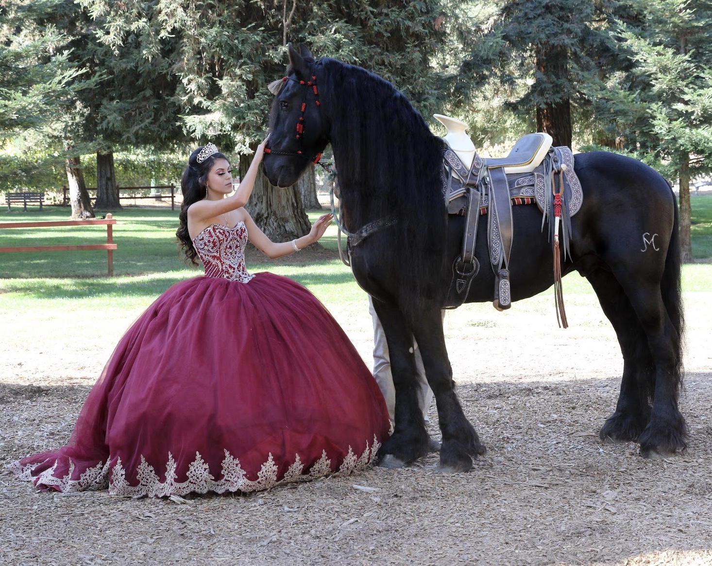 Mikayla Calderon. Desktop Image